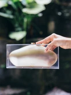 Cult Gaia Annika Clutch -Black Halo And Cult Gaia store unnamed file 887